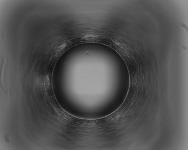 X0000094921106200711291306
