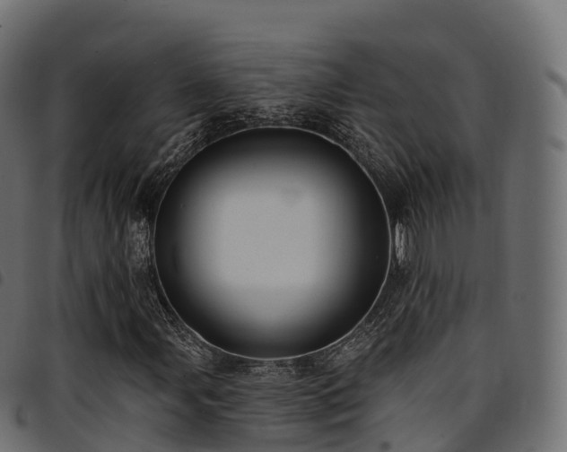 X0000094921107200711291306