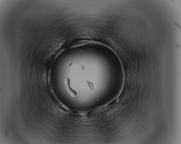 X0000094921108200711291306