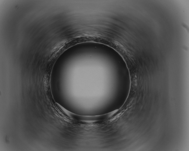 X0000094921110200711291306