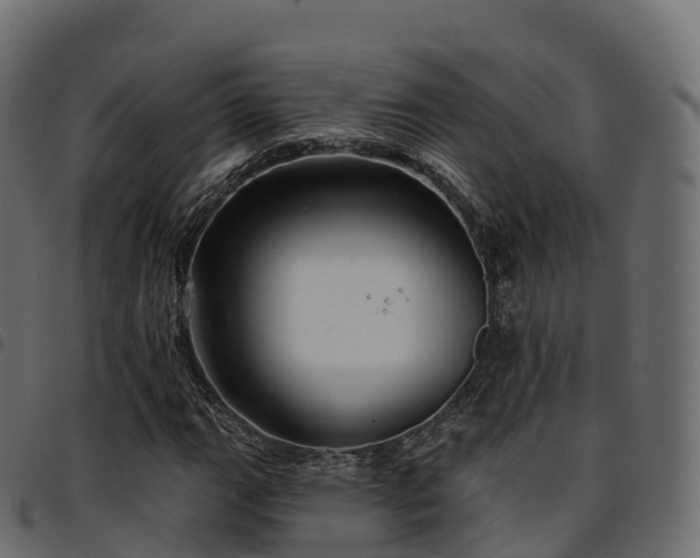 X0000094921111200711291306
