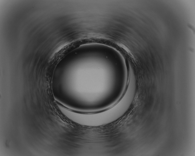 X0000094921112200711291306