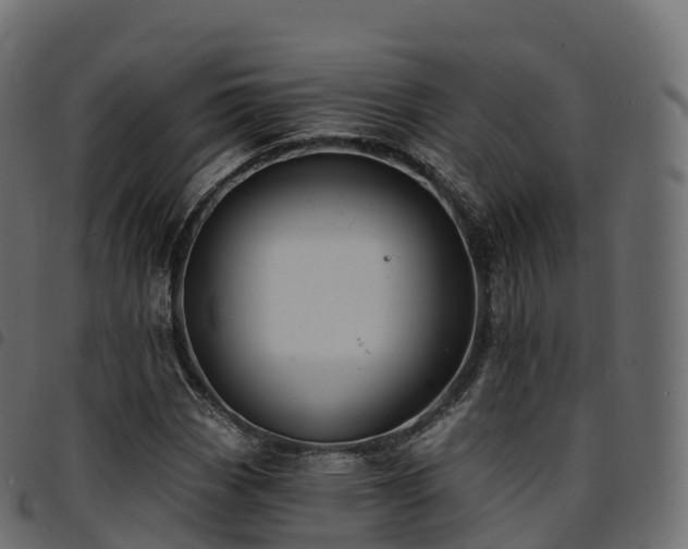 X0000094921113200711291306