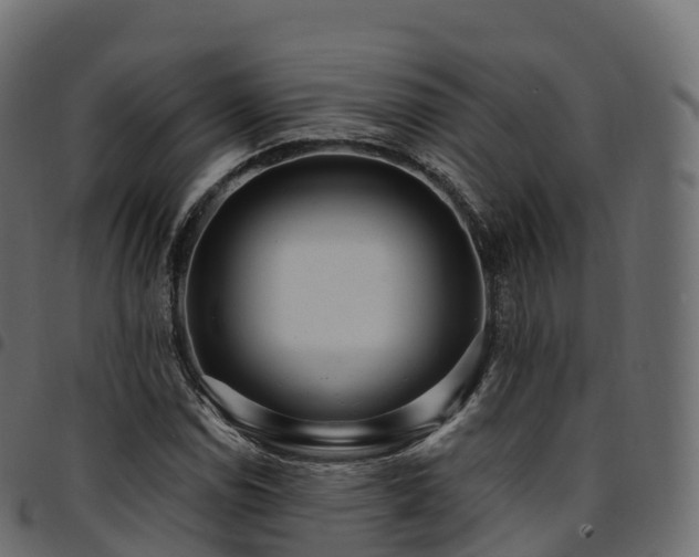 X0000094921114200711291306