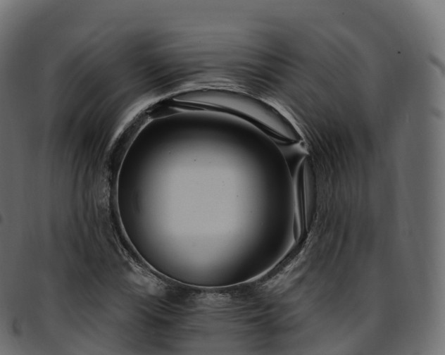 X0000094921115200711291306