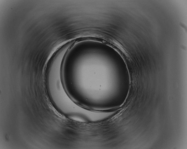 X0000094921116200711291306