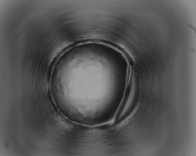 X0000094921117200711291306