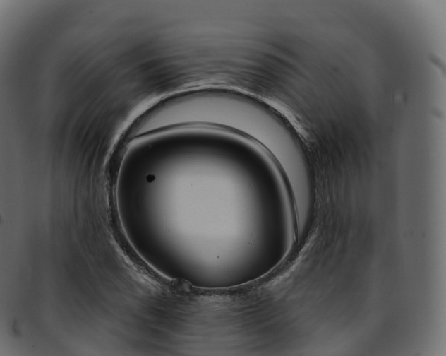 X0000094921118200711291306