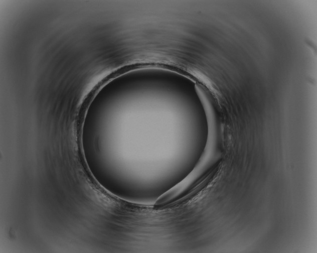 X0000094921120200711291306