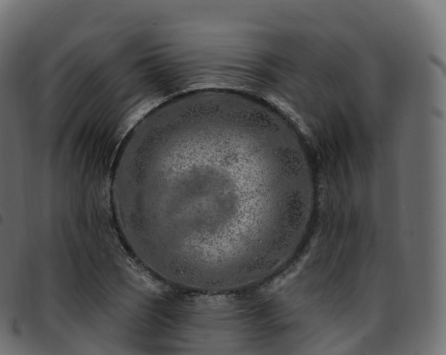 X0000094921121200711291306