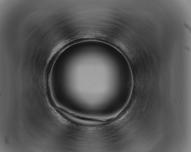 X0000094921122200711291306