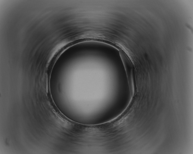 X0000094921123200711291306