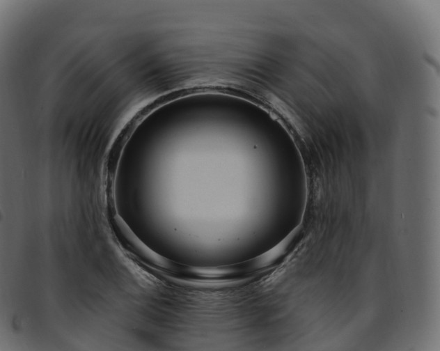 X0000094921124200711291306