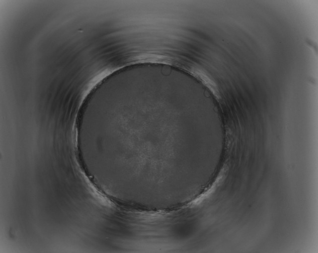 X0000094921125200711291306