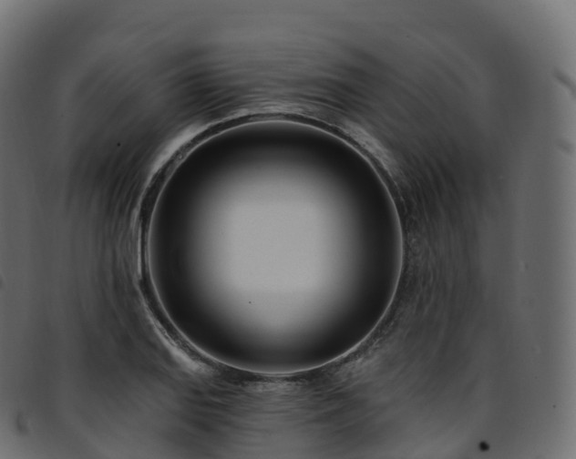 X0000094921127200711291306