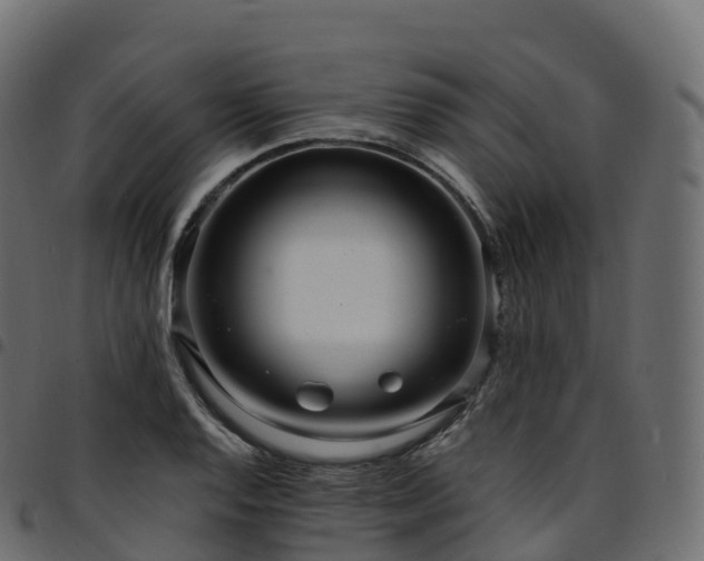 X0000094921128200711291306