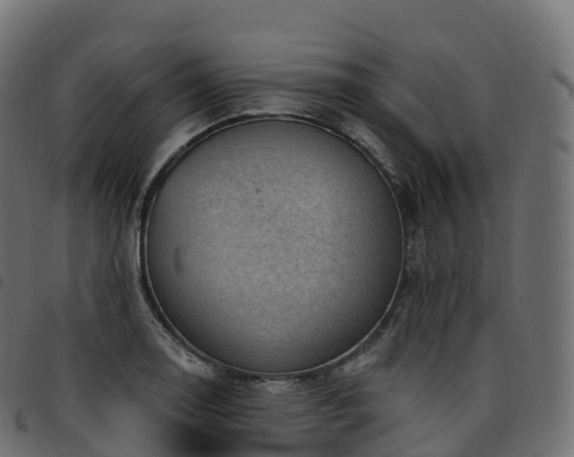 X0000094921130200711291306