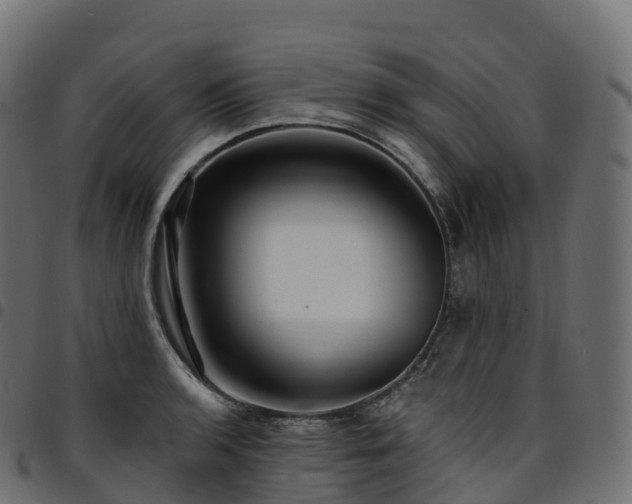 X0000094921136200711291306