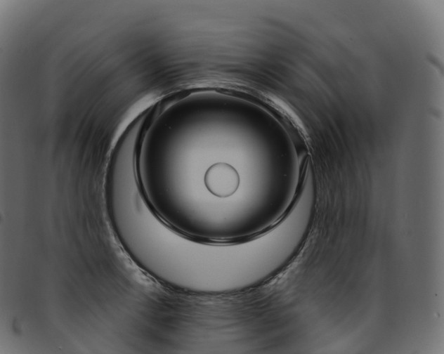 X0000094921138200711291306