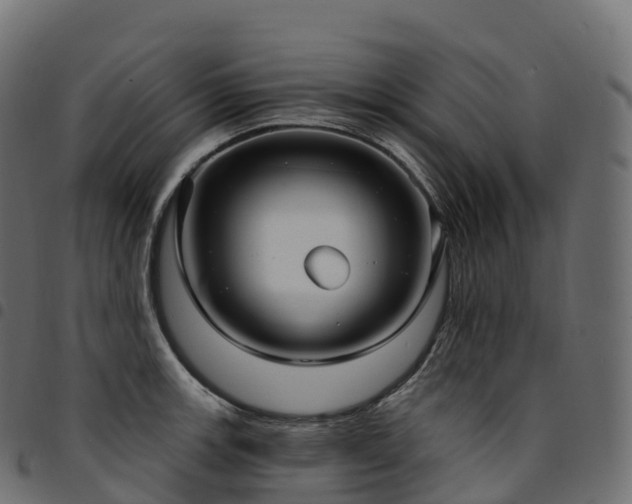 X0000094921139200711291306