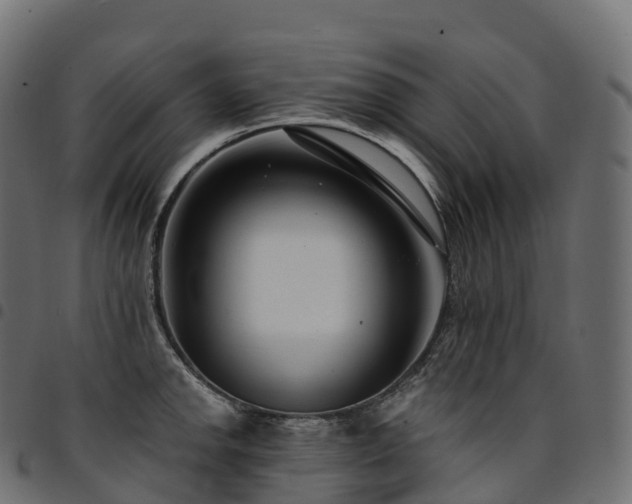 X0000094921142200711291306