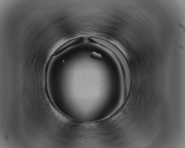 X0000094921143200711291306