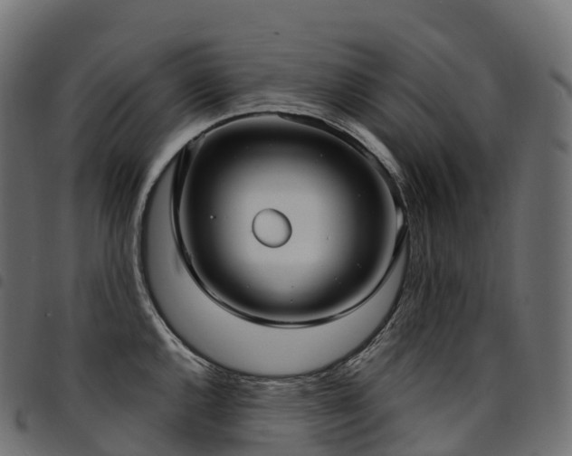 X0000094921144200711291306