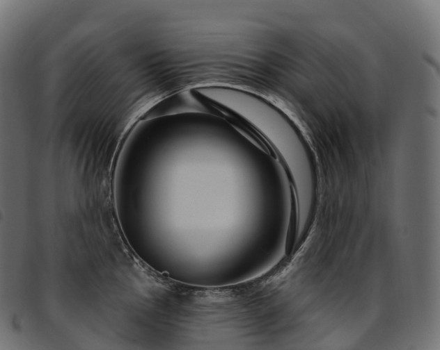 X0000094921145200711291306
