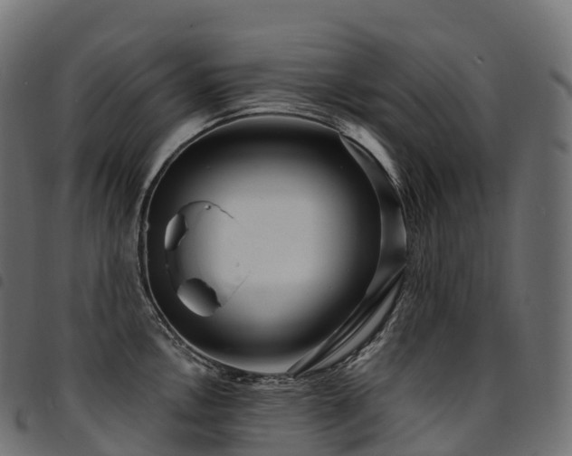 X0000094921146200711291306
