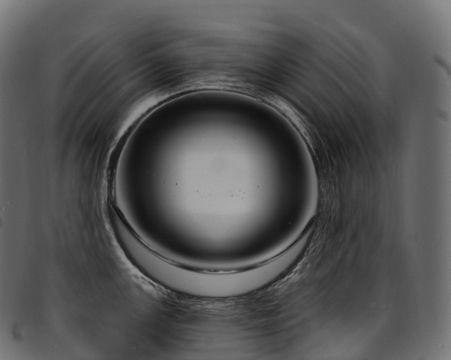 X0000094921147200711291306