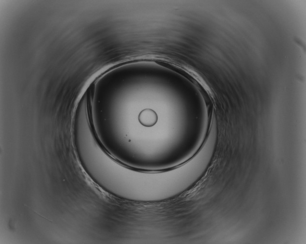 X0000094921148200711291306