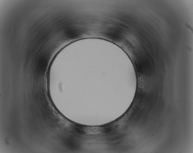 X0000094921150200711291306