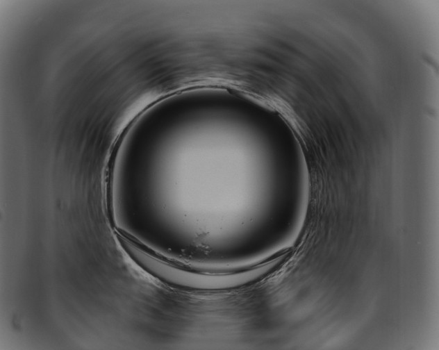 X0000094921151200711291306