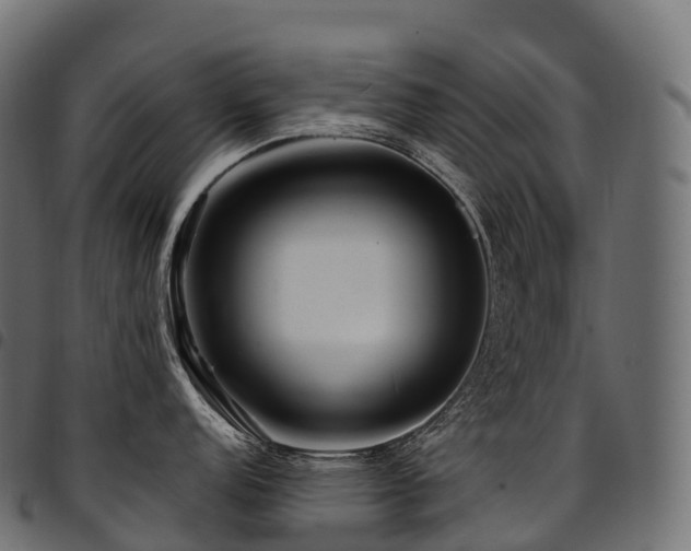 X0000094921152200711291306