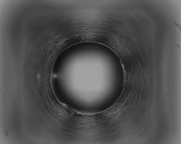 X0000094921153200711291306