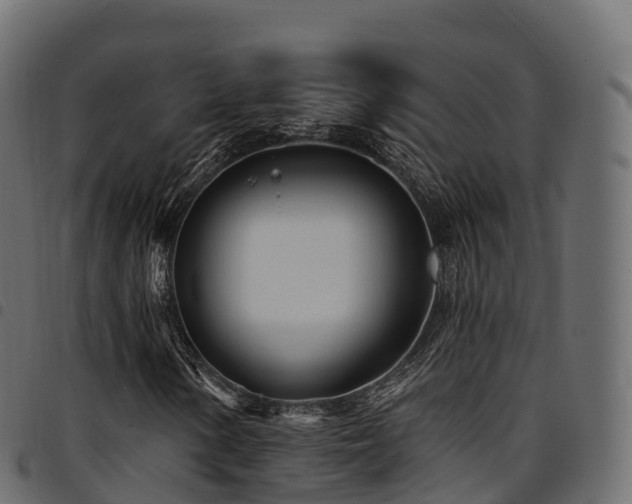 X0000094921154200711291306