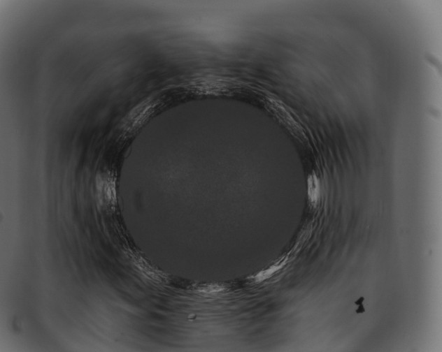 X0000094921155200711291306