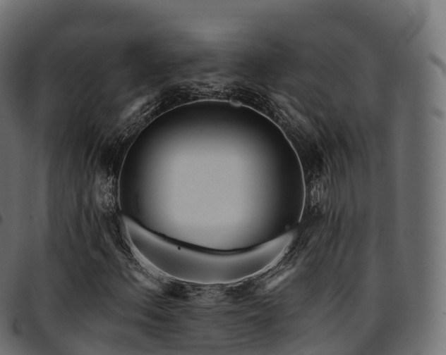X0000094921156200711291306