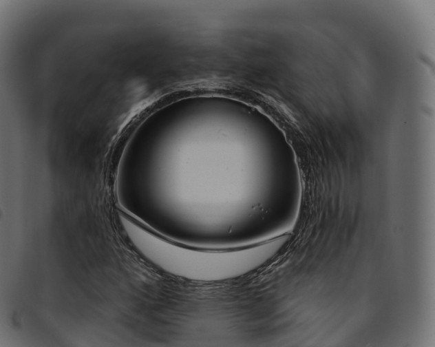 X0000094921160200711291306