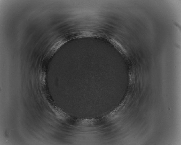 X0000094921161200711291306