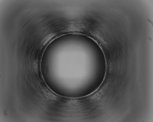 X0000094921162200711291306