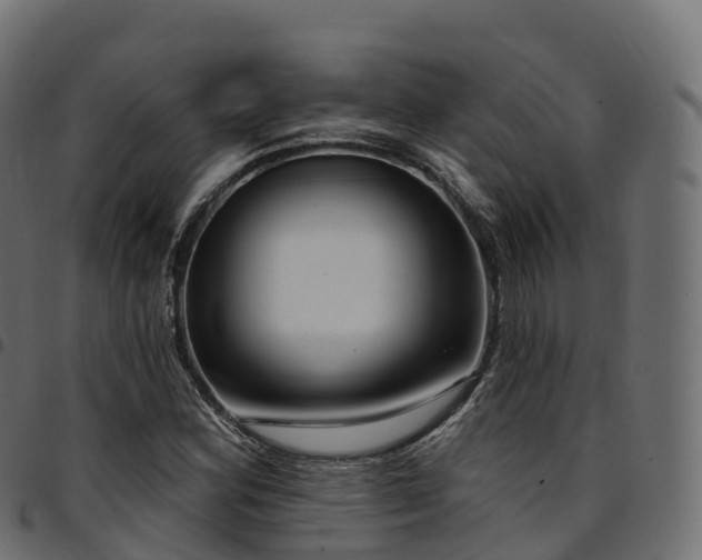 X0000094921164200711291306