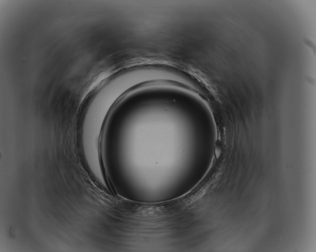 X0000094921165200711291306