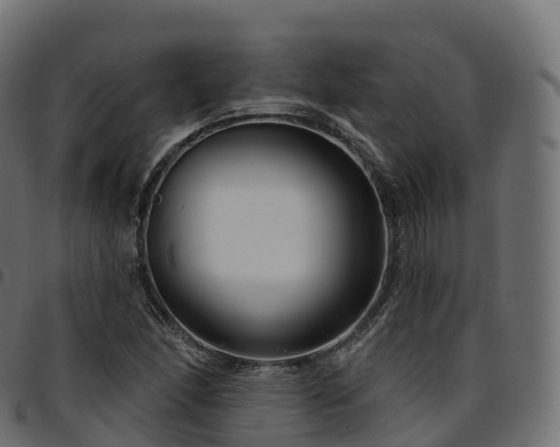 X0000094921166200711291306
