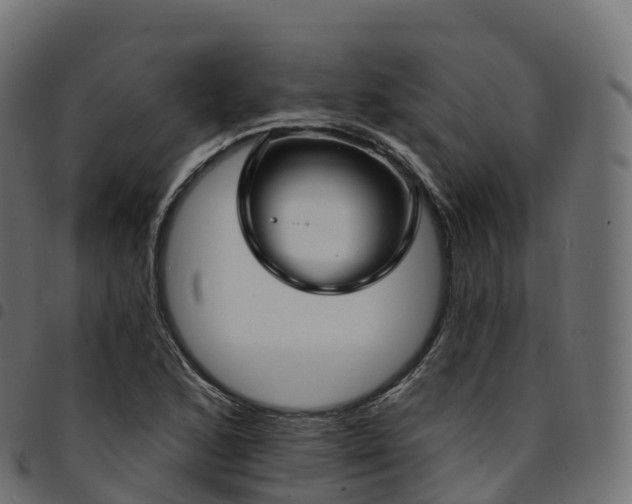 X0000094921168200711291306