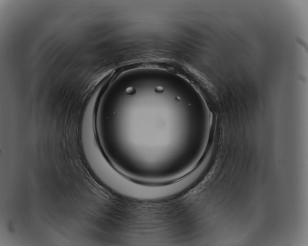 X0000094921169200711291306