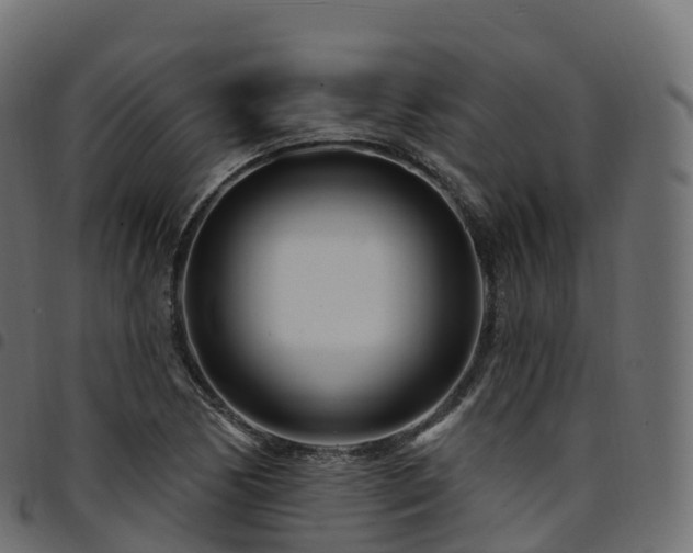X0000094921170200711291305