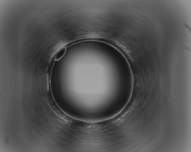 X0000094921171200711291305