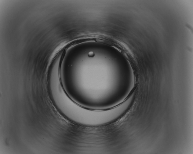 X0000094921172200711291305