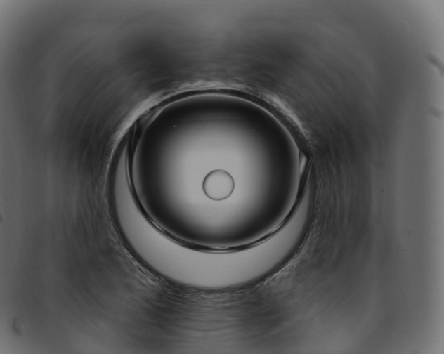 X0000094921173200711291305